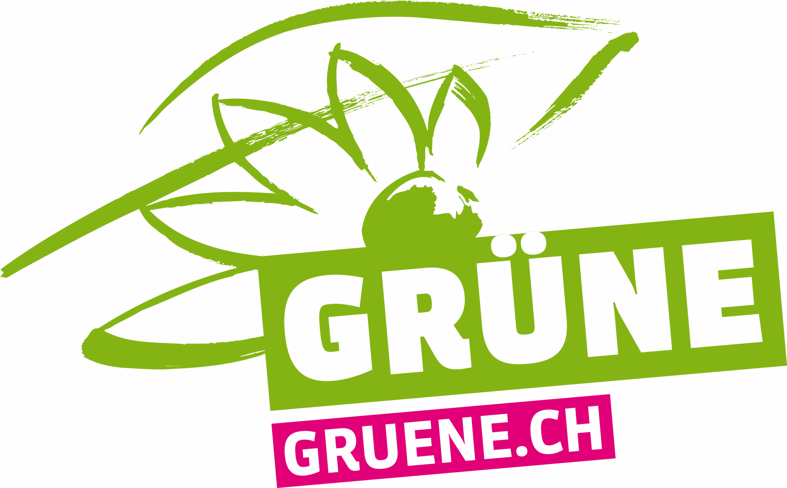 Urs Amman - Grüne
